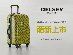 DELSEYMinions Сϵ