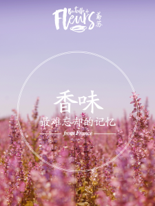 Թ˶㣬հͷ㵽β