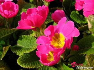 �������㣬�����������ֵ��ӵ��