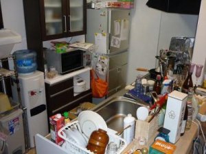 �����������������̣���ʳ���˽������ɴ��У����������������