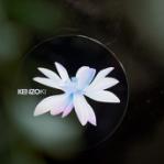 е޻ʱKENZO˯Ĥ