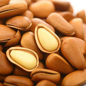 ڻڼ8ʳñںͷ