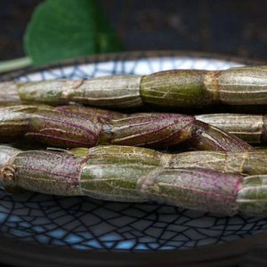 ЩȻֳθǡÿһ㣬Ӵθٷ