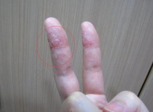 ֱָ仯˵ڶѻ࣬ϽЩŶʳ