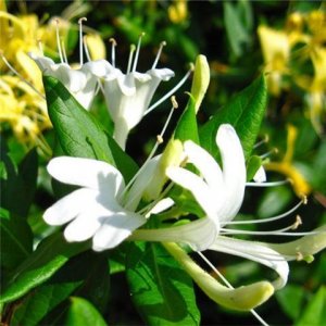 ũҰȻġҩ˯ǰһ㣬Ȼ˯