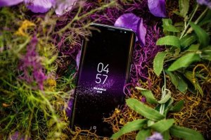 s8ڶڿƼһչ㶼治