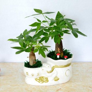 Щֲװİ칫Һͼңװ