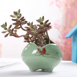 ʺϰڰ칫ҵļԣۣҪǺܱ