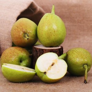 ������ҹ���㣬��Ҫӵ�к����岻��������֬�Ŷ���ʳ