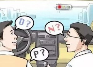 ԶͣȹPNܶ˾