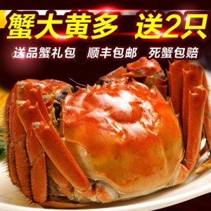 г˻ڵκբзͣͼһƷζ