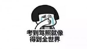 ݿ¹棡;ͣ5֣һ˾·