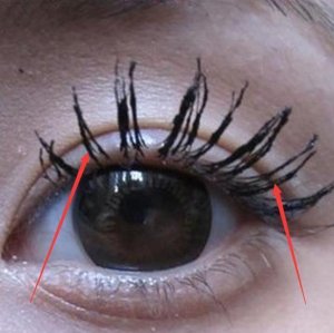 Ů��ˢ��ë���в�Ӭ�ȣ���ױʦ����1���У�һ����ˢ��Ũ�ܳ���ë