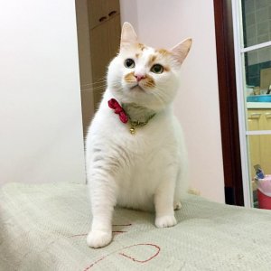 è¥¥ȥˣʺǣèĽҪע