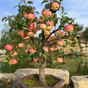 幼儿园歌曲大全-适合幼儿园的歌曲-幼儿园小班