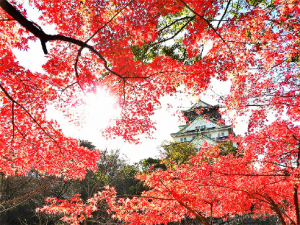 С,THE LANDMARK SQUARE OSAKAǲtʳ