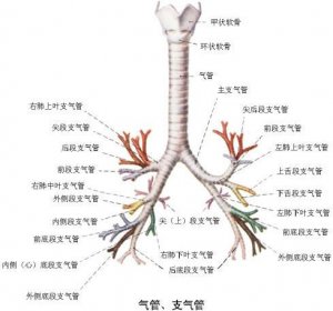 Ƶ ǻ֧