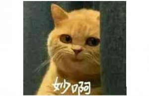 ױǧΪʲôCC