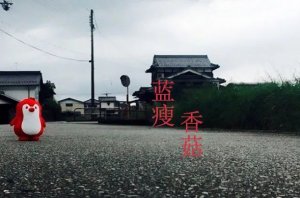رL8020иˮ20ྻƾ㲻