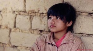 ���μ������ű仵����� �����ű��������� �����ع�