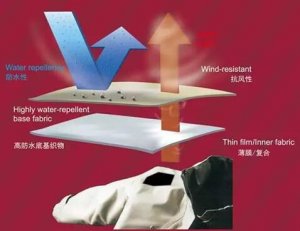 �����еĿƼ��뽳�ġ���2019���ʷ�֯����չ����չƷ���ȿ�