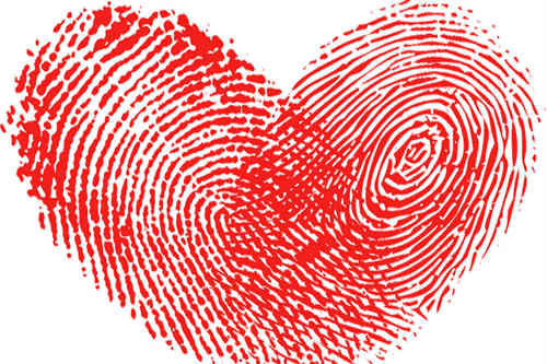 ��ȸ��ָ��ͼƬ